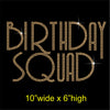 Birthday Squad Hotfix Rhinestone Transfer Diamante Motif, Iron on Applique